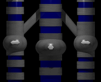 Tri-core view 1